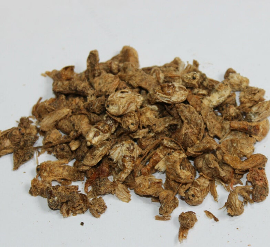 누에고치를 뚫고 나온 누에나방의 수컷을 바로 죽인 후에 바싹 말려서 만든 원잠아를 하얀 바닥 위에 수북하게 놓아두고 찍은 사진