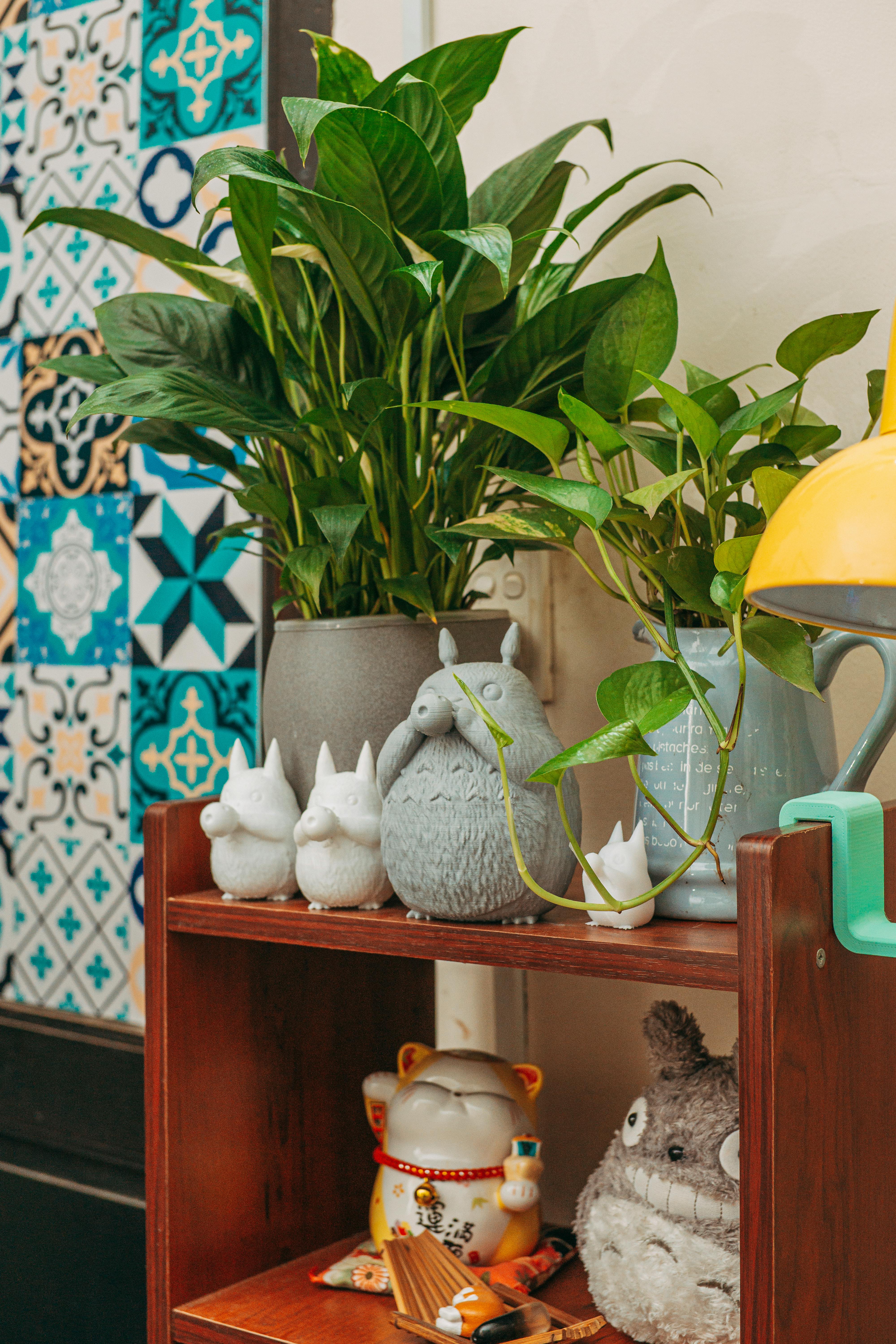 지브리 굿즈 관련 사진