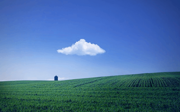 파란 하늘에 하얀 구름이 있고 땅에는 푸른 밭이 있다.