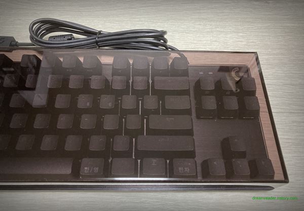 로지텍 기계식 키보드 G413 TKL SE 2022년 5월~9월 키보드 루프