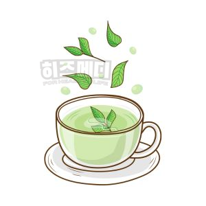 철결핍성 빈혈 원인 증상