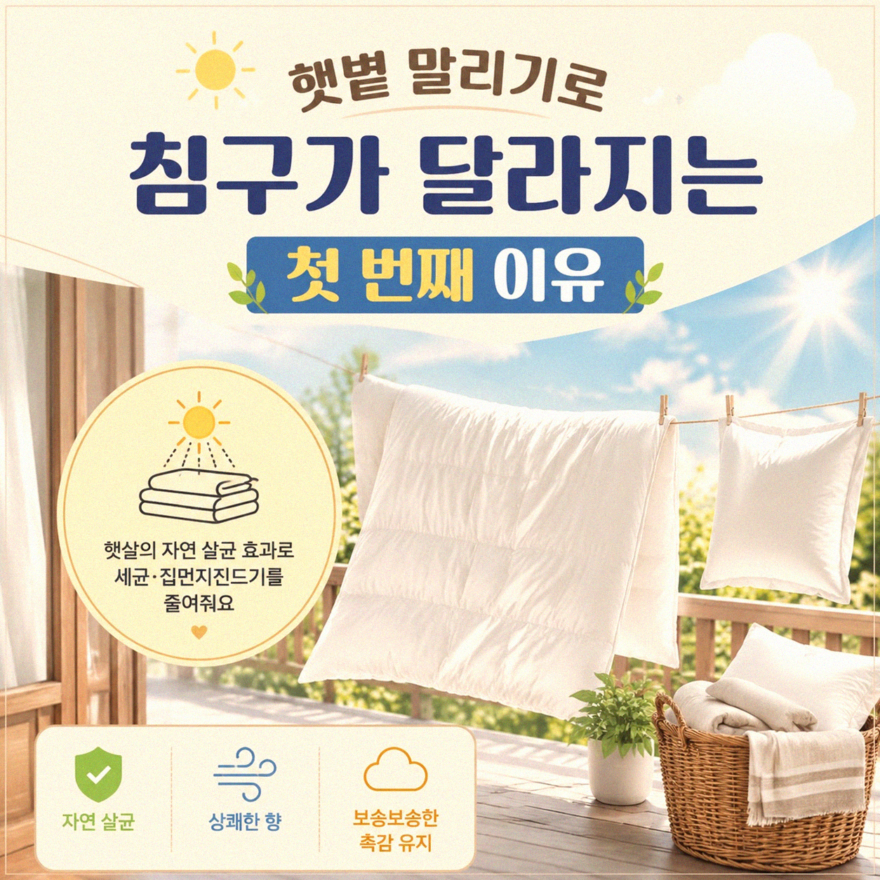 침구 햇볕 말리면 뭐가 달라질까 직접 해봤어요