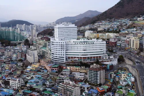 고신대학교 복음병원