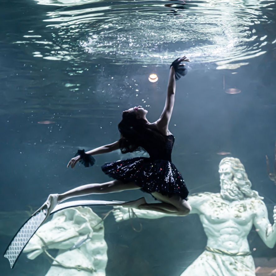 대전 엑스포 아쿠아리움