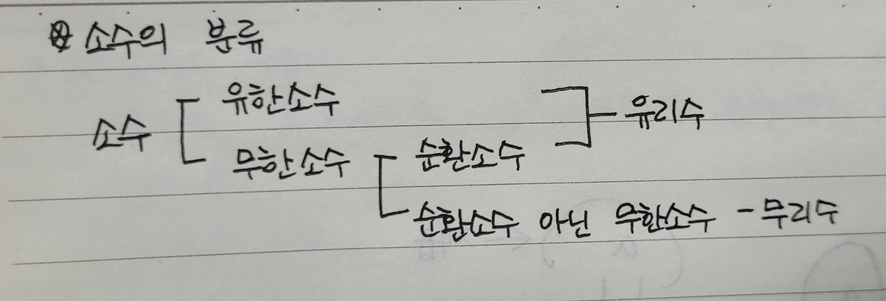 소수의 분류