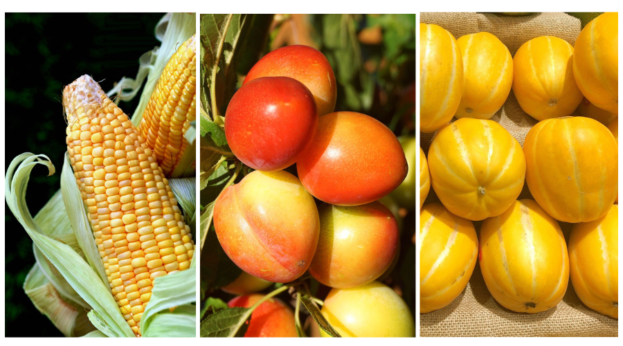 여름에 먹어야할 식재료! 7월 제철음식 추천