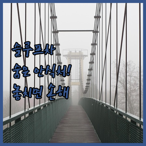 당신만 모르는 슬루프차의 숨겨진 안식..