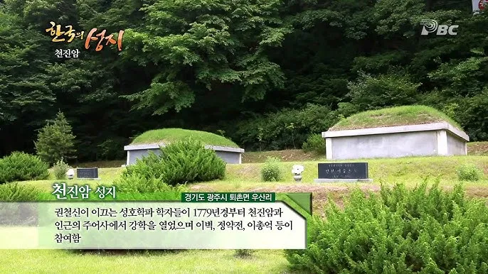 천진암 흰민들레 백양자연관찰로 괭이눈 개화_6