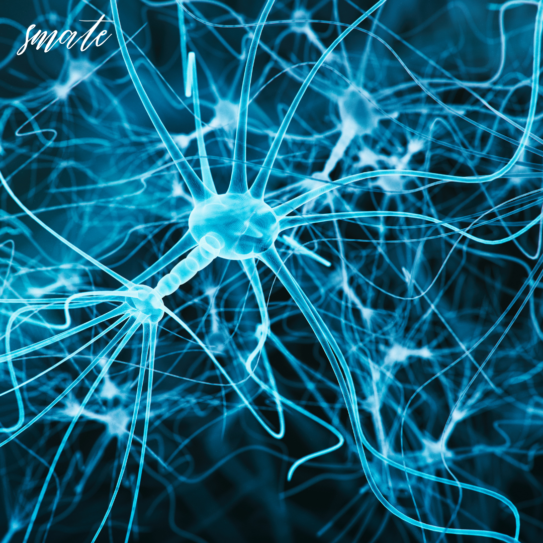 나노입자 이미지