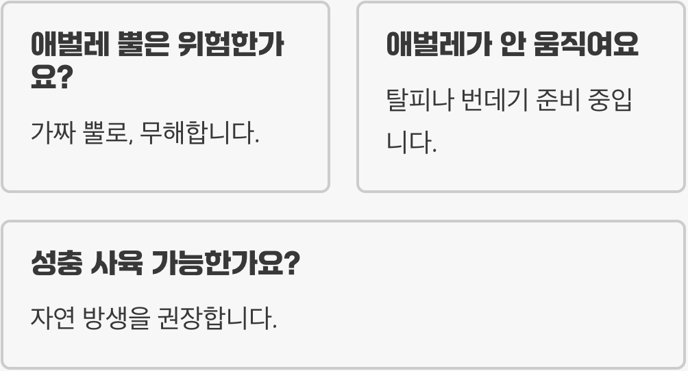 애벌레부터 성충까지 박각시나방 키우기 A to Z (먹이식물&amp;#44; 사육통 세팅)