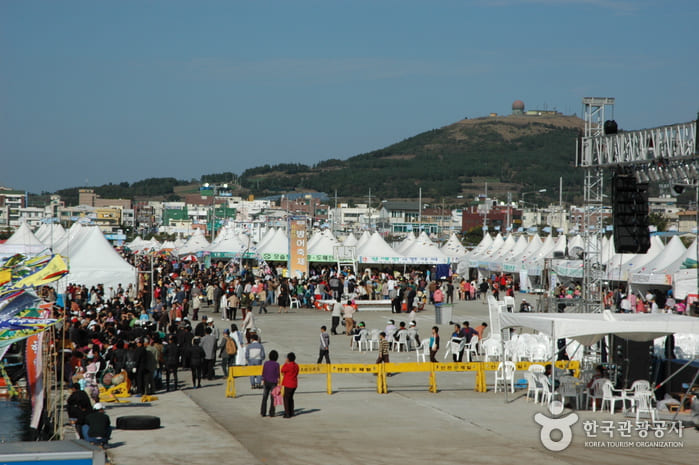 2024년 12월 제주도 축제 일정 제주도의 겨울, 12월에 꼭 가봐야 할 축제들