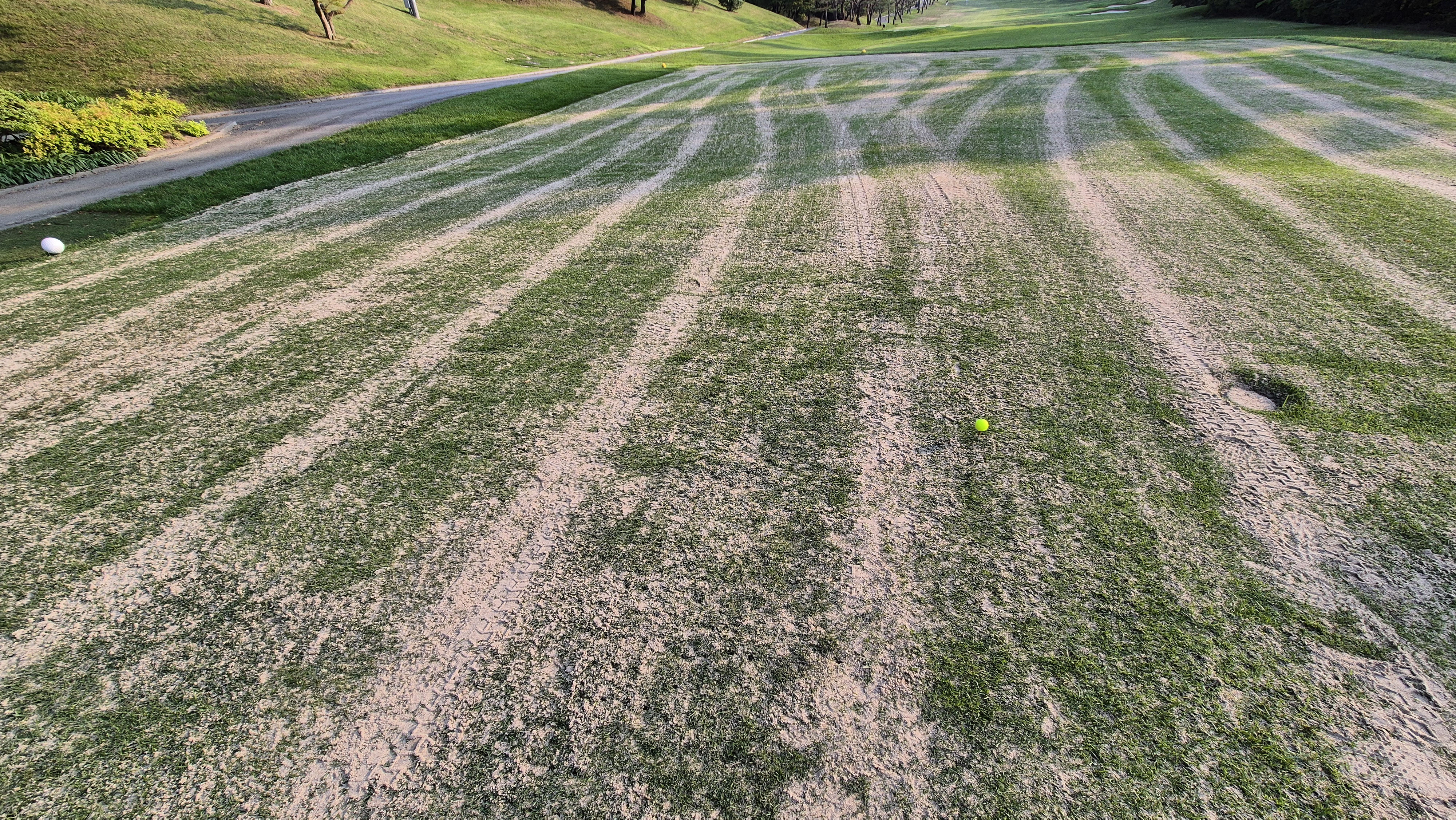 이포cc 라운드 후기