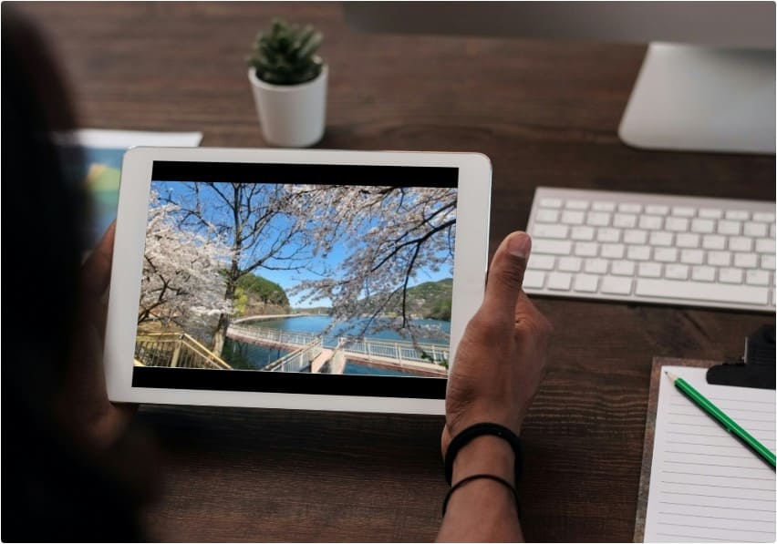 전주-아중호수-벚꽃