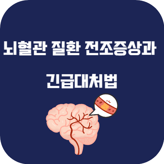 뇌혈관 질환 전조증상과 긴급대처법