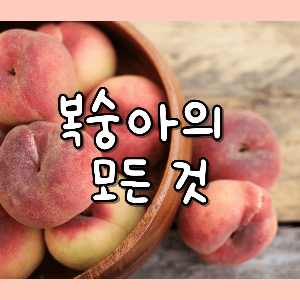 복슝아