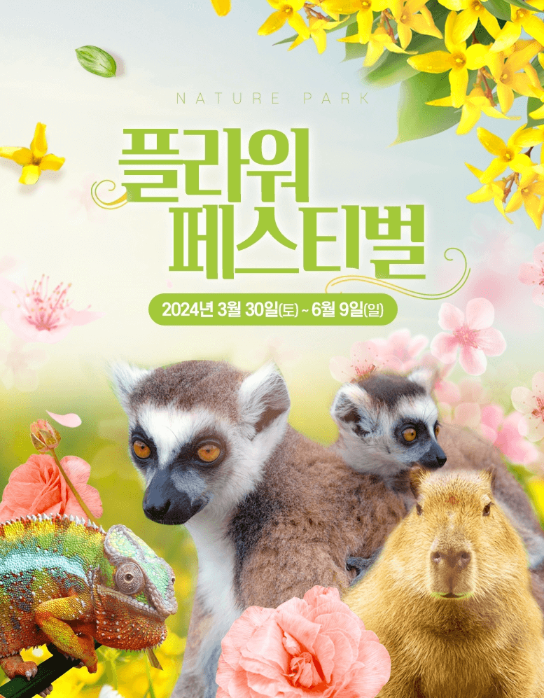 대구 축제 일정