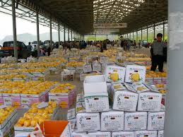 농협공판장 인터넷 통합거래시스템