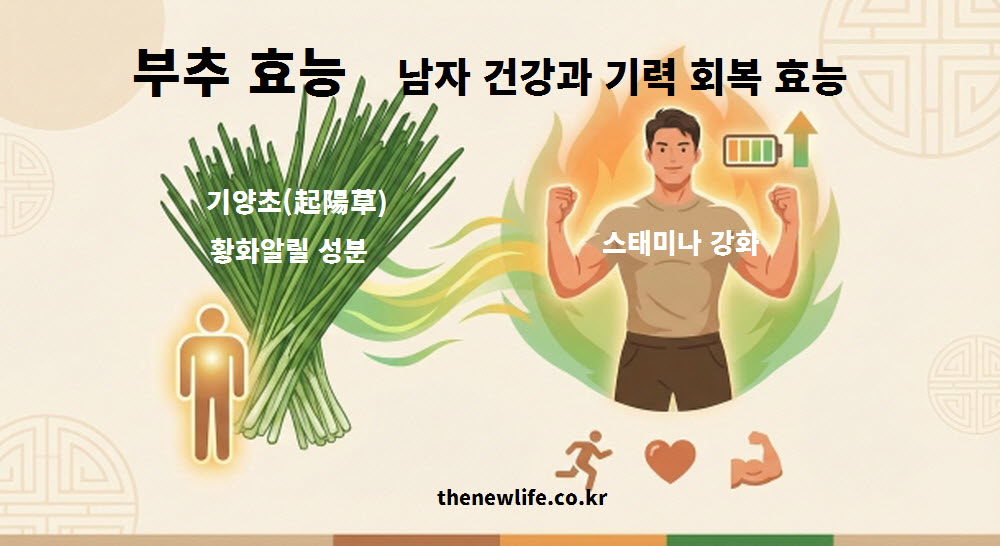 부추 효능 중 남자 건강과 기력 회복 효능을 설명하는 일러스트 이미지. 기양초로 불리는 부추의 황화알릴 성분이 남성의 에너지를 충전하고 활력을 되찾아주는 모습을 시각적으로 표현함