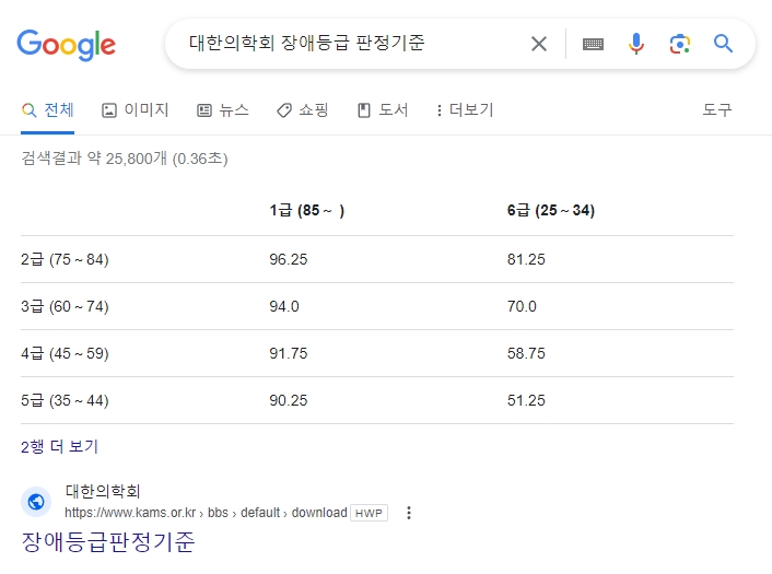 검색 결과에 나타난 대한의학회 장애등급 판정기준 관련 페이지