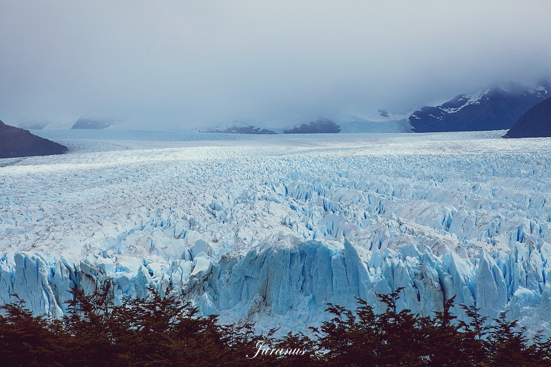 Moreno Glacier 11