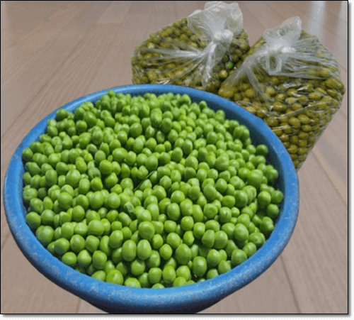 완두콩 저장법