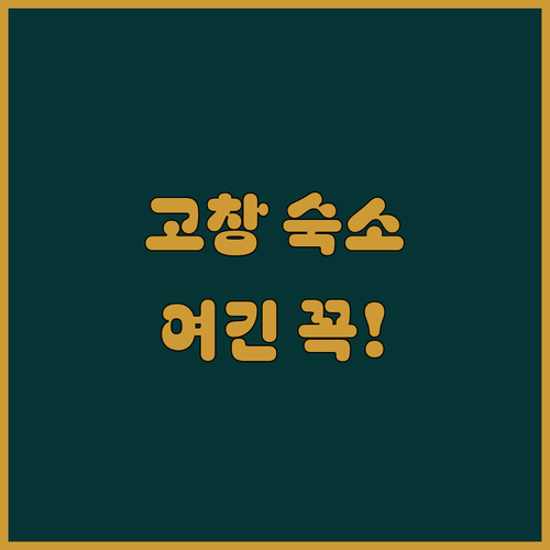 고창 숙소 추천 선운사 앞 가성비 호..