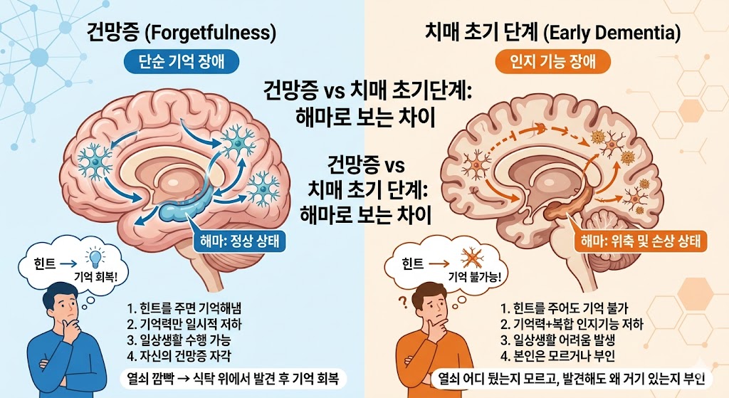 단순 기억 장애 와 치매 초기 단계를 비교하는 이미지