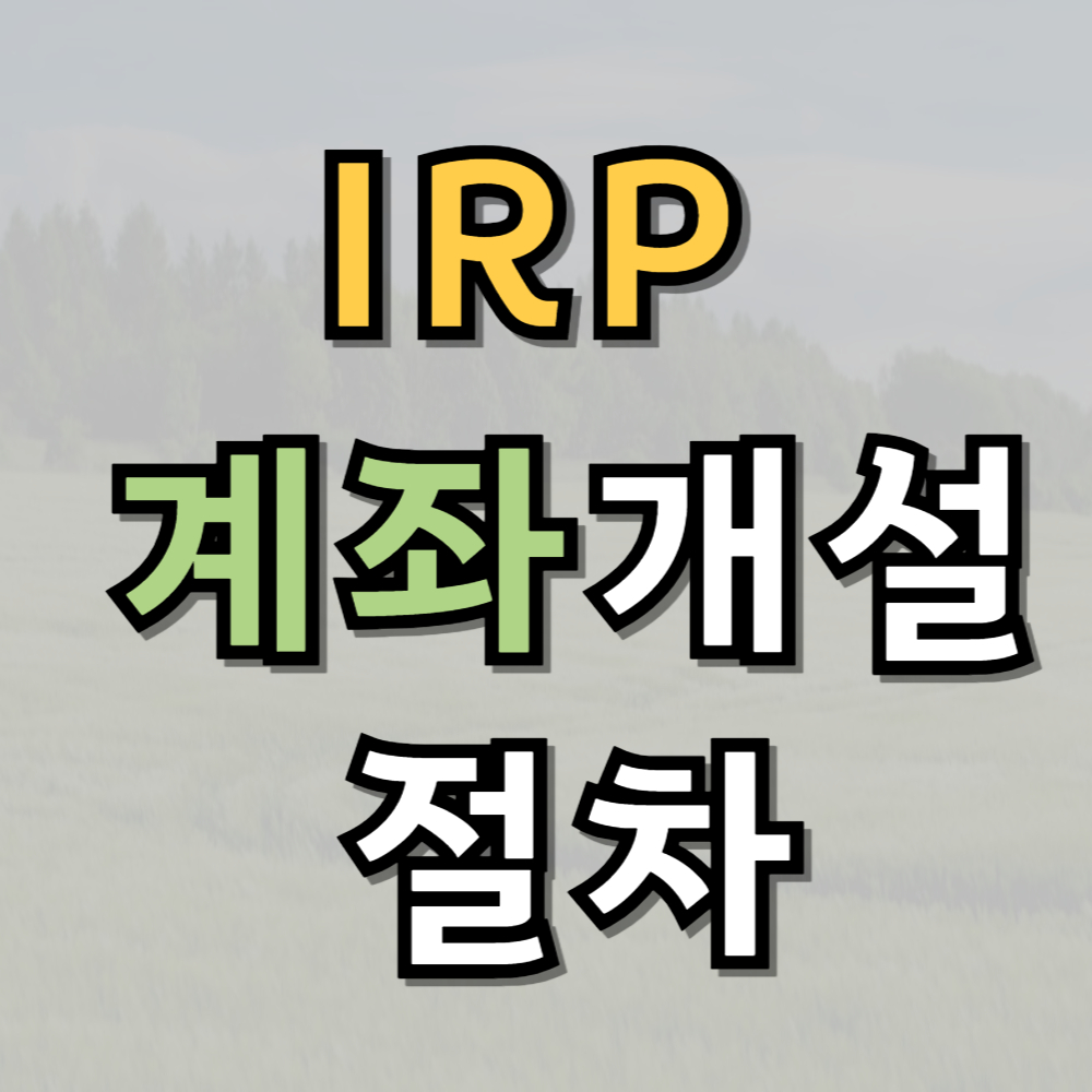 IRP 계좌개설 절차와 주요 팁