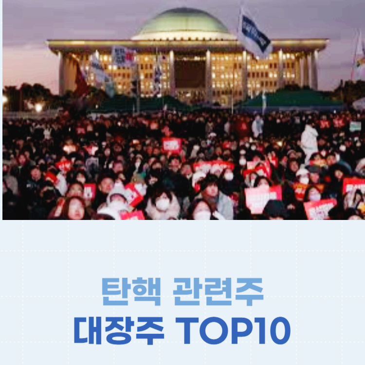 계엄령 탄핵 관련주 대장주 테마주 수혜주 TOP10