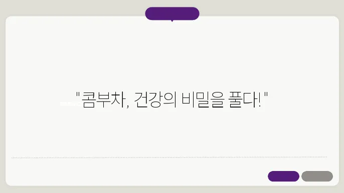 콤부차란