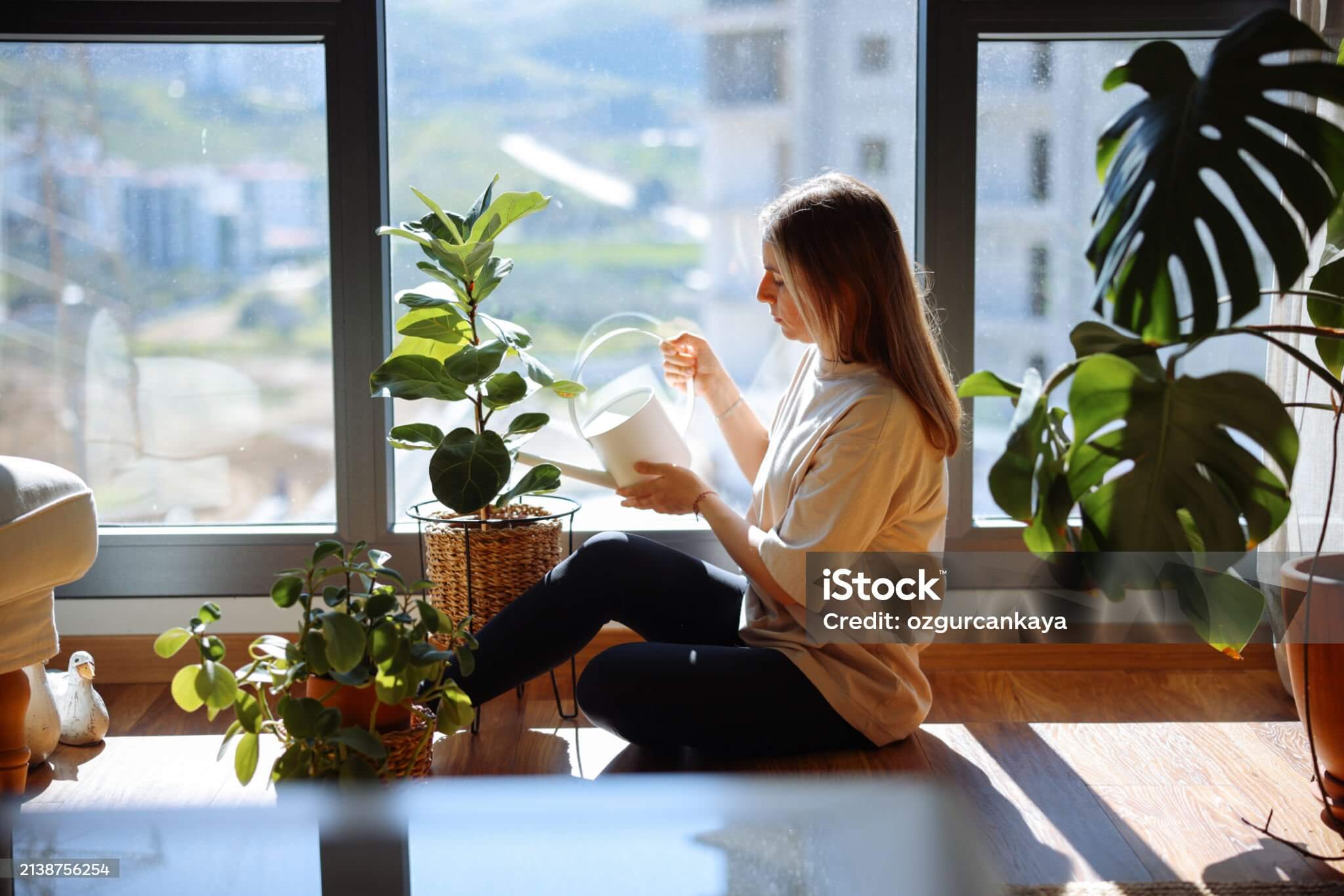 초보도 성공하는 미세 조경 작은 공간에서 식물 키우는 첫걸음