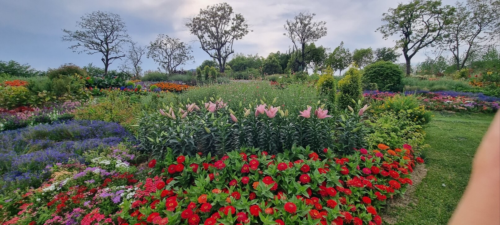 순천만 국가정원 관람 시간 입장료 주차장