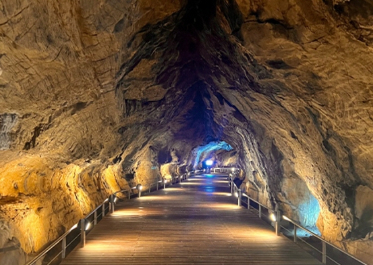 평창 가볼만한곳