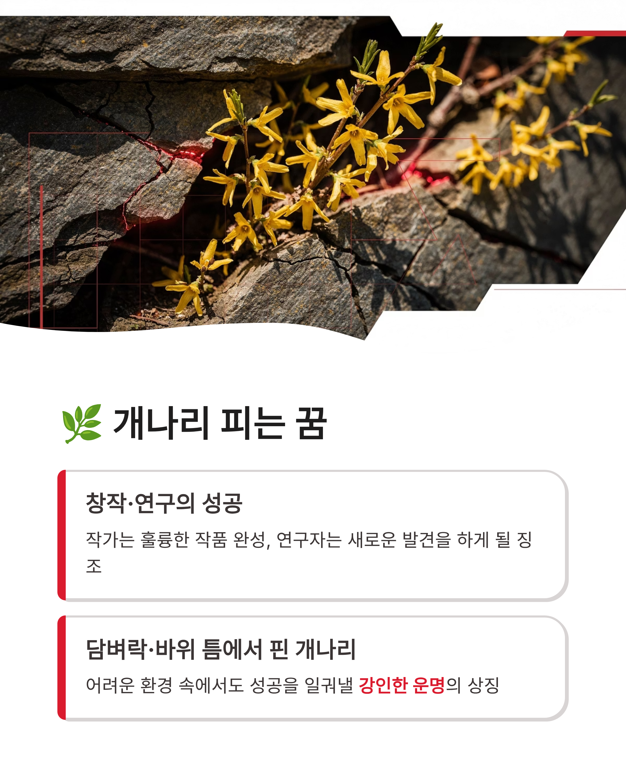 개나리꽃 꿈 해몽, 개나리 피는 꿈, 개나리 태몽 혹은 선물 받는 꿈 해몽