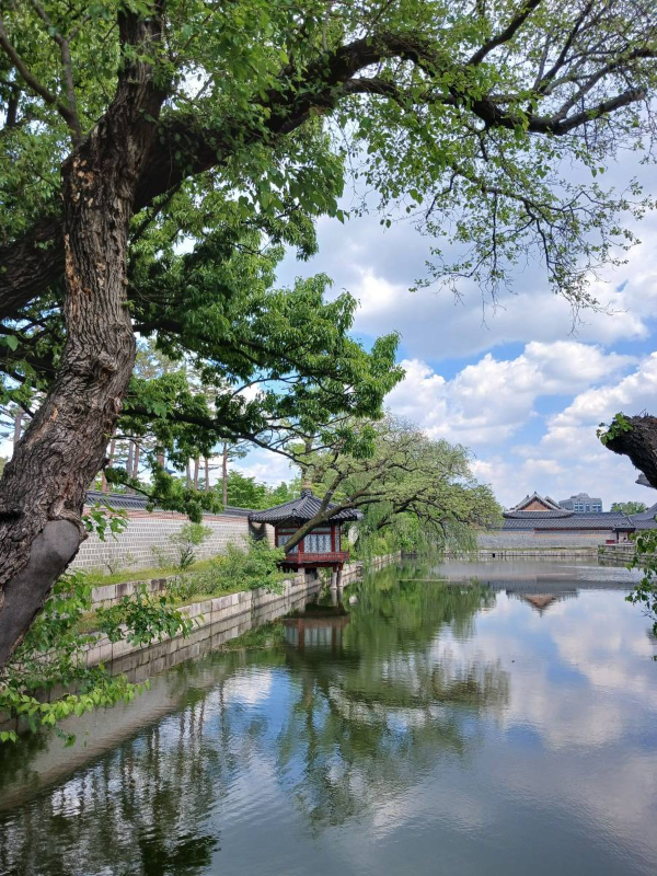 경복궁 하향정