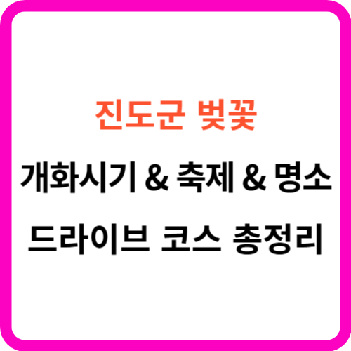 진도군 벚꽃 개화시기 명소 축제 드라이브 코스 총정리