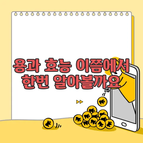 용과 효능 이쯤에서 한번 알아볼까요