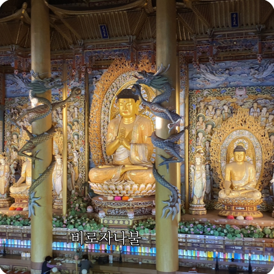 대적광전주불비로자나불