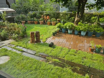 관수 방식 비교 드립 점적 스프링클러 살수장치 선택_6