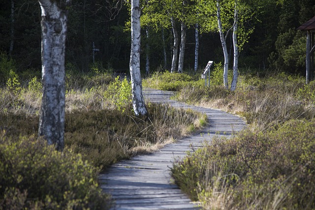 파로효소 효능부터 부작용까지, 다이어트 전 꼭 읽어보고 선택하세요