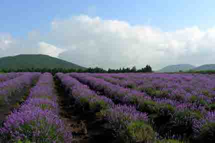 여름 휴가를 위한 최고의 여행지 TOP 5