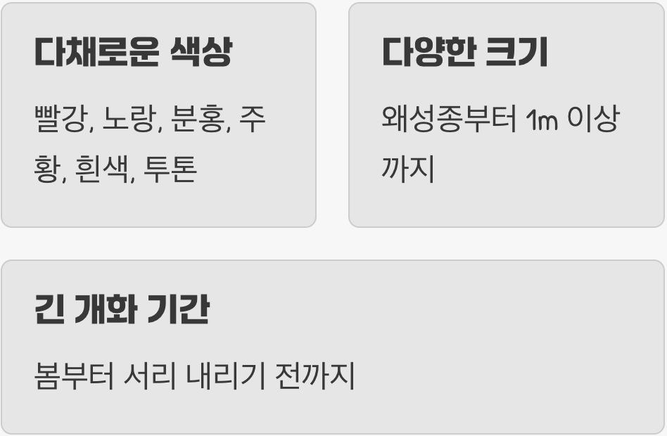 화려한 색감의 팔레트