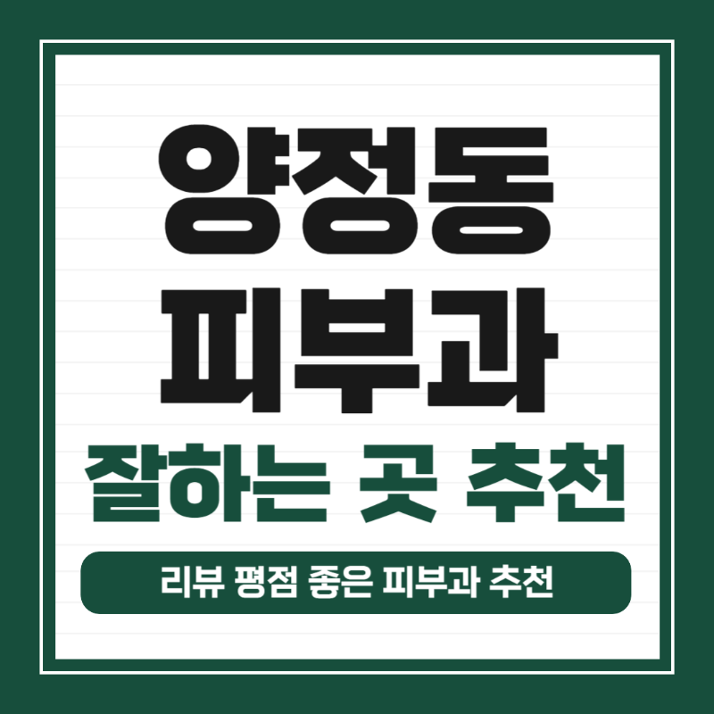 남양주 양정동 피부과 유명한 곳 모공 레이저 잘하는 곳 추천 TOP 5