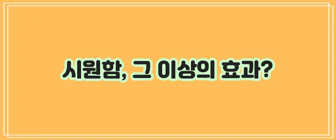 폼롤러 운동법 폼롤러 활용법을 자세히 알아봐요!