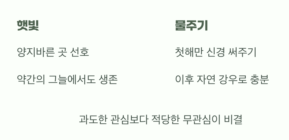 햇빛과 물&amp;#44; 까다롭지 않은 친구