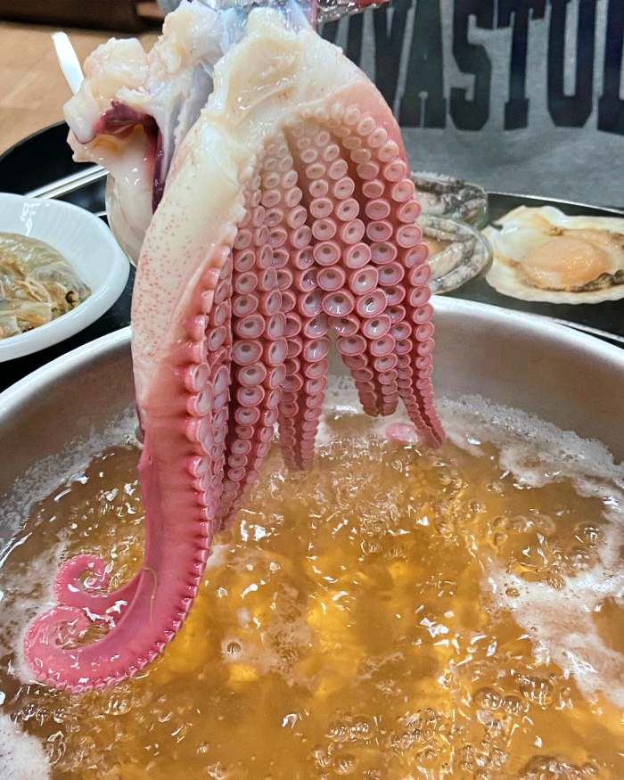 생방송투데이 강원 삼척 대문어 한상 맛집