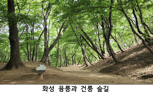 화성시 융건릉