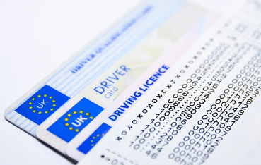 운전면허 갱신 준비물과 사진규격(2024)