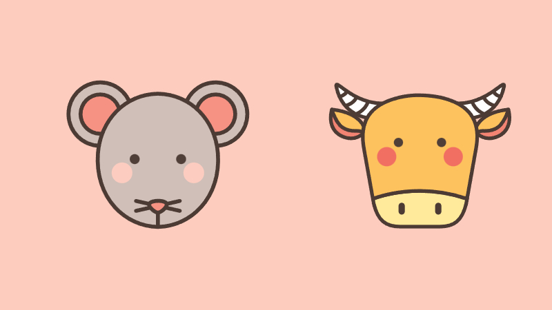 2025 을사년 뱀띠 해의 의미와 특징