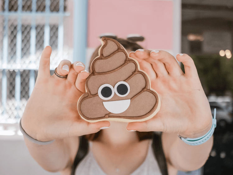 똥꿈 해몽 풀이